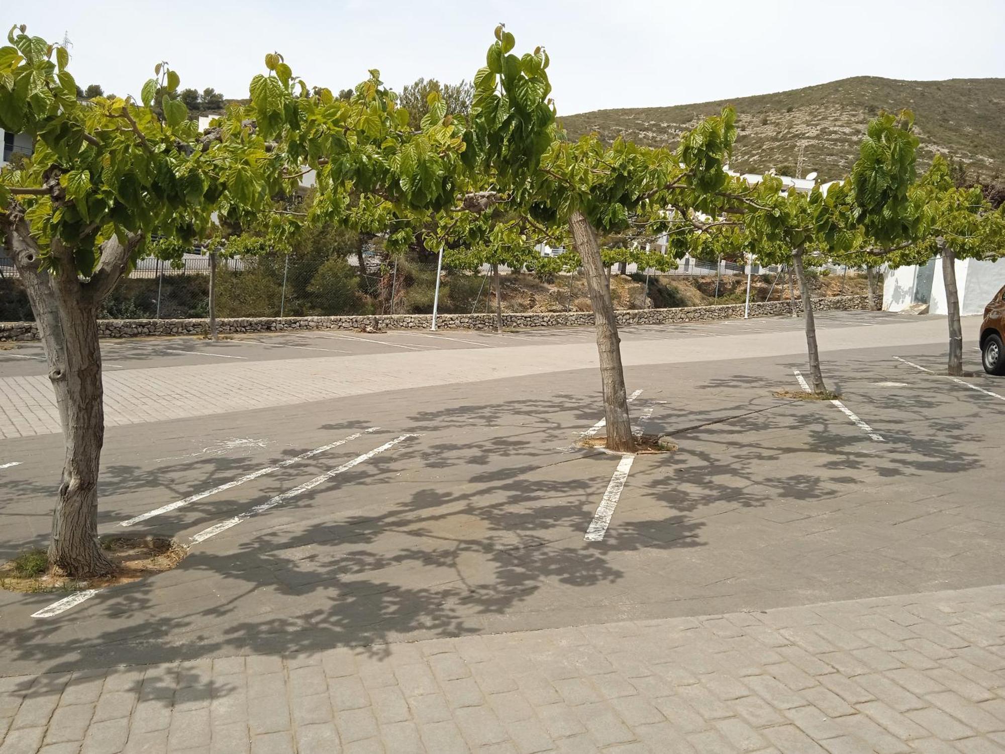 Apartamentos Tierra De Irta 3000 Peñíscola Esterno foto